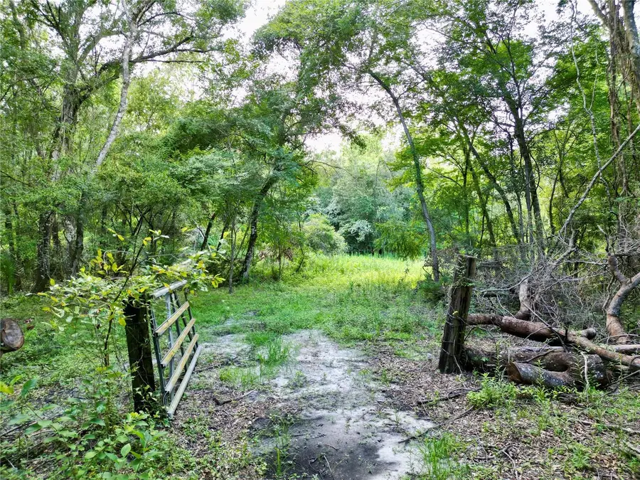 TBD SW 31st Way Way, Webster, FL 33597 - #2