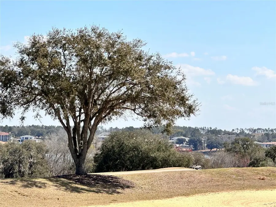 16822 Artimino Loop, Bella Collina, FL 34756 - #3