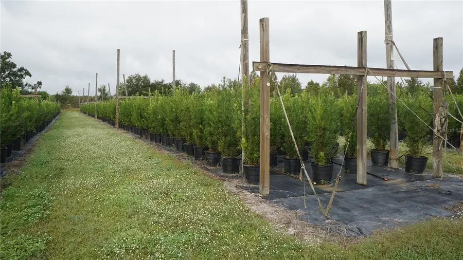 Douglas Road, Groveland, FL 34736 - #3