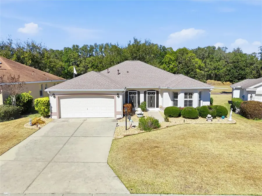 7132 SE 172nd Hazelwood Loop, The Villages, FL 32162 - #2
