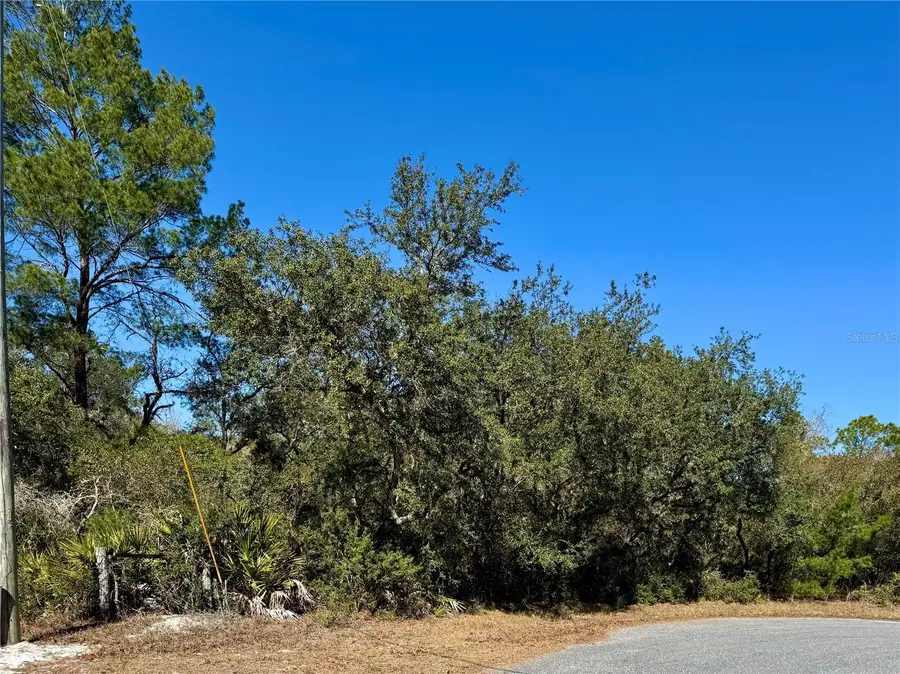 LOT 7 Shady Rose Court, Eustis, FL 32736 - #3