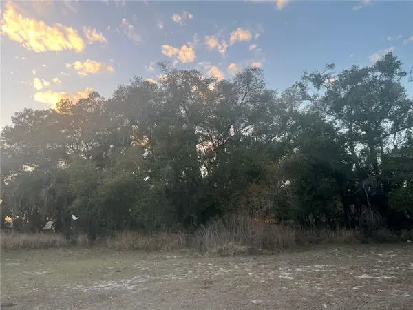 522 Palmetto Street, EUSTIS, FL 32726