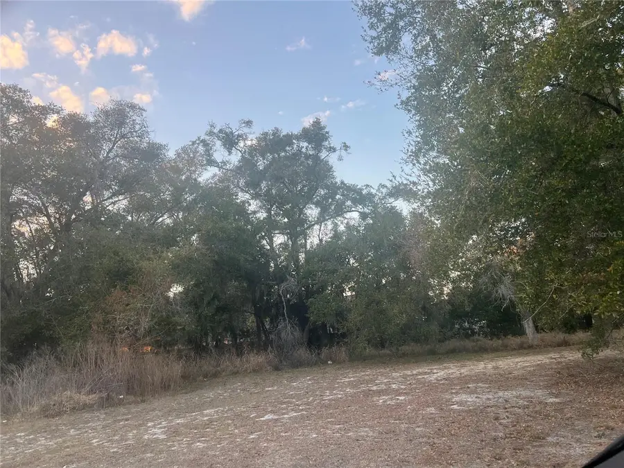 522 Palmetto Street, Eustis, FL 32726 - #2