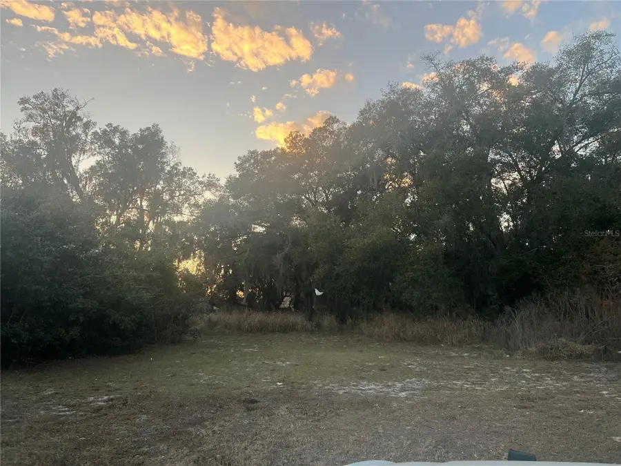 522 Palmetto Street, Eustis, FL 32726 - #3