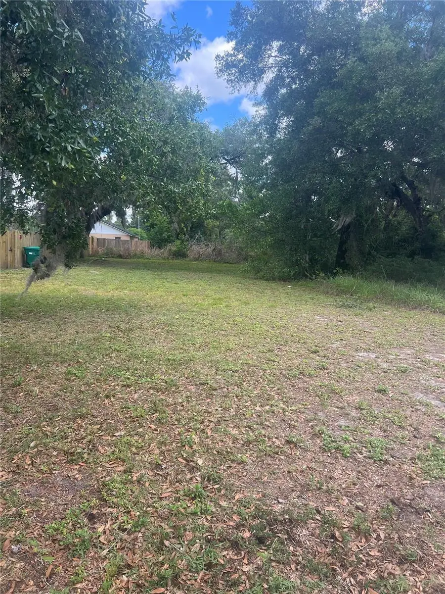 E Jackson Avenue, Mount Dora, FL 32757 - #2
