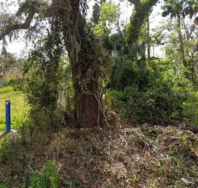 00 Division Street, Daytona Beach, FL 32114 - #3