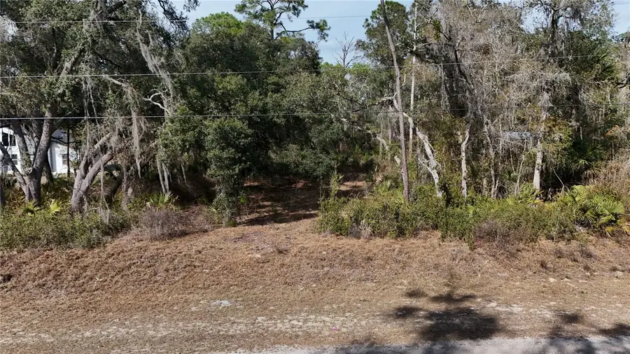 30553 Saffron Avenue, Eustis, FL 32736 - #2