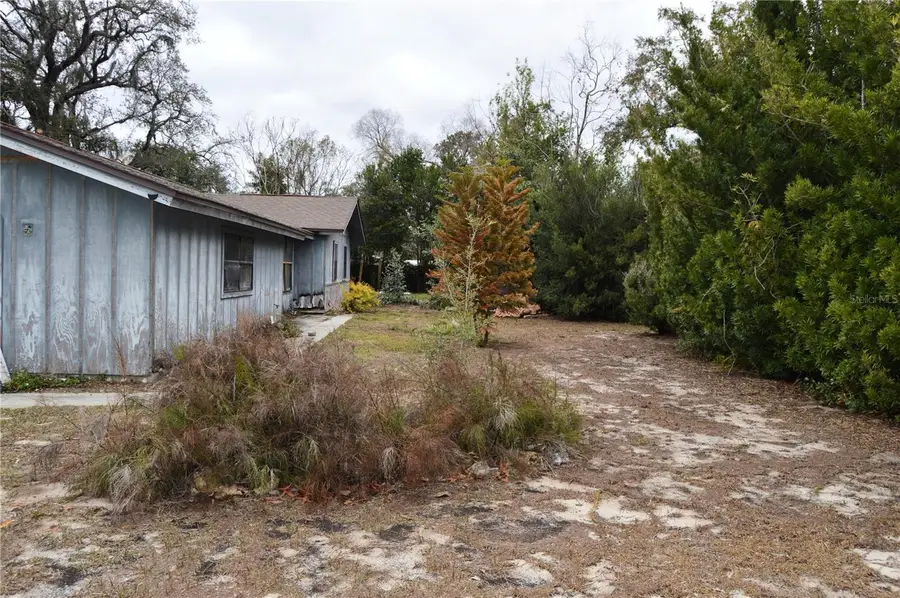 702 James Avenue, Fruitland Park, FL 34731 - #3