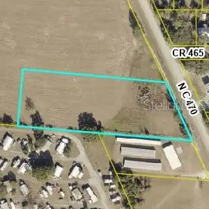 TBD C 470, Lake Panasoffkee, FL 33538 - #1