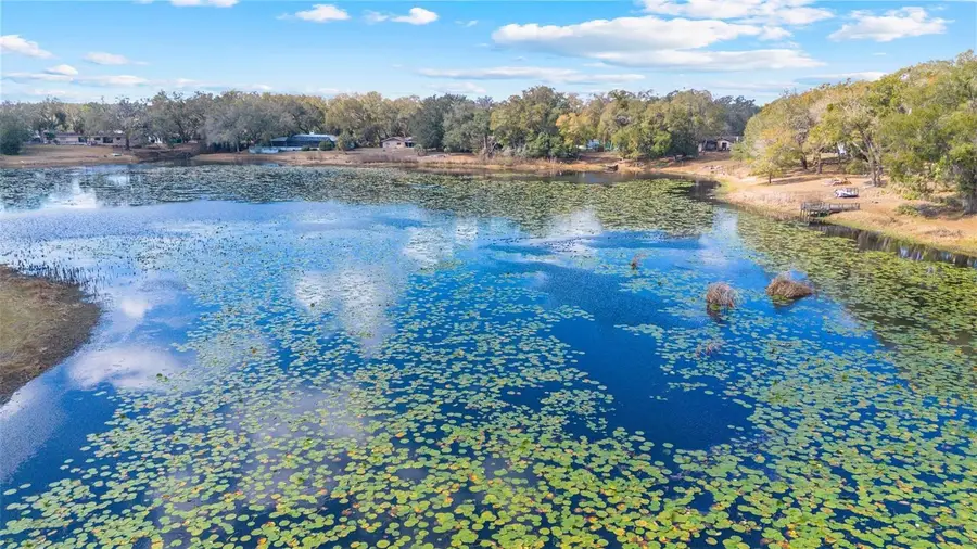 36035 E Spring Lake Boulevard, Fruitland Park, FL 34731 - #3