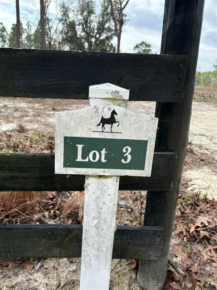 2395 NW 81st Avenue, Wildwood, FL 34785 - #3