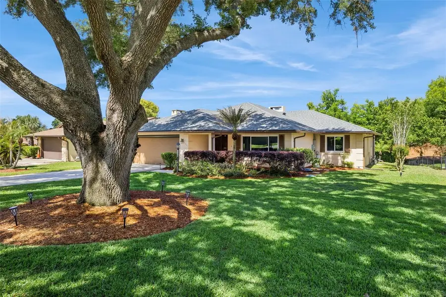 1224 Palmetto Road, Eustis, FL 32726 - #3