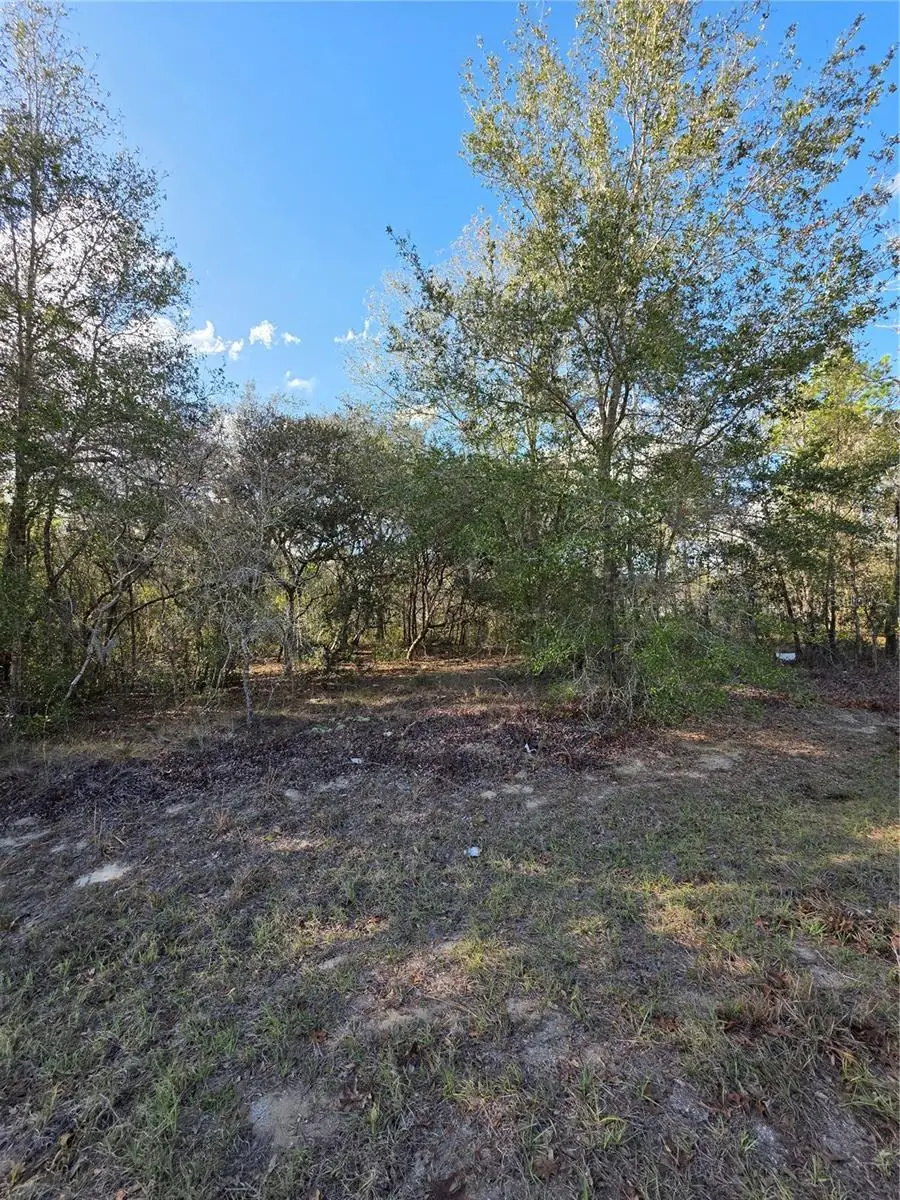 TBD Locust Loop Circle, Ocala, FL 34472 - #3