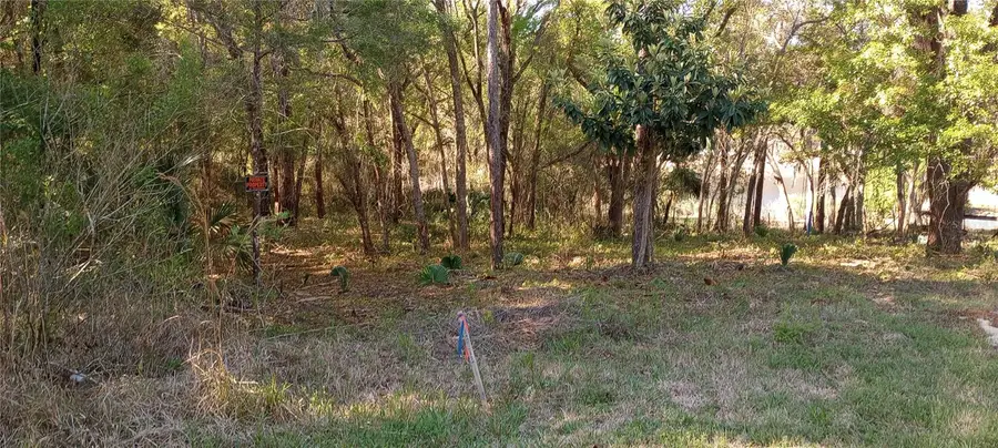 Casaurina Road, Lady Lake, FL 32159 - #2