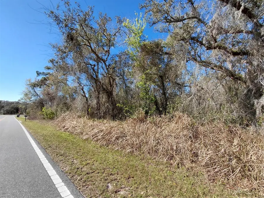 8123 Wheystone Drive, Webster, FL 33597 - #2