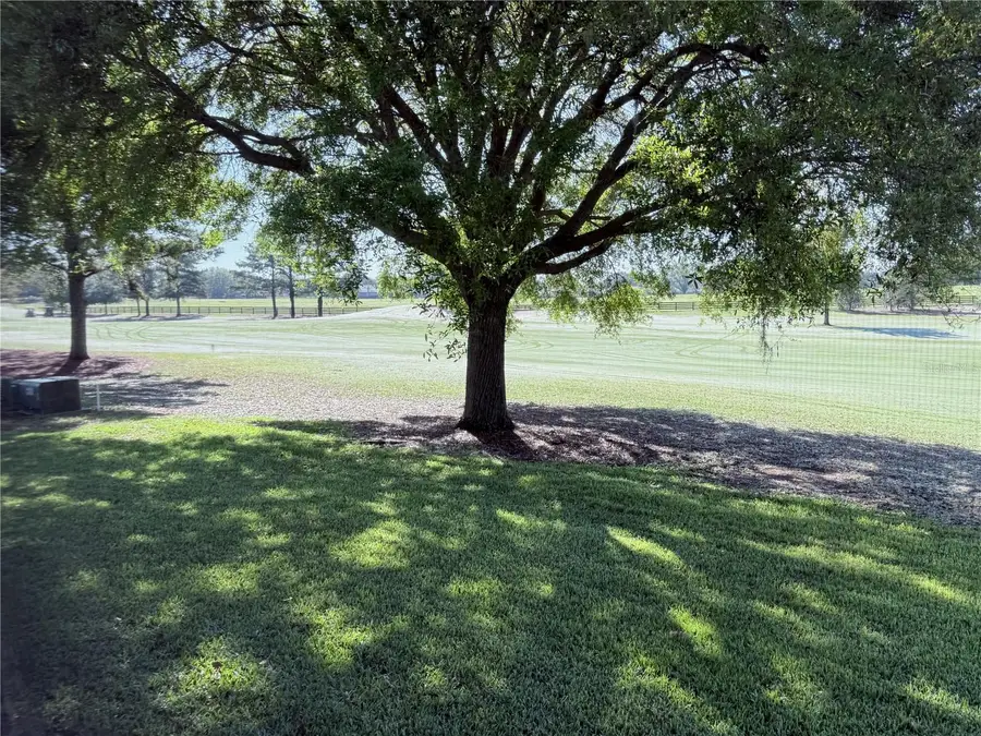 16913 SE 88th Trumbull Terrace, The Villages, FL 32162 - #3