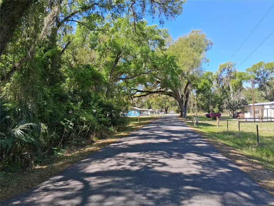 10th Street, Webster, FL 33597 - #2