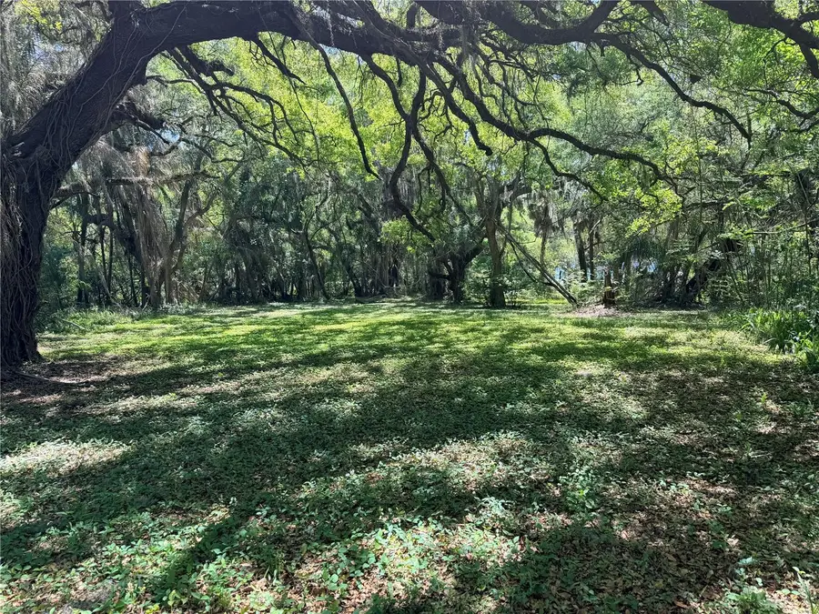 0 W Miller Street, Fruitland Park, FL 34731 - #3