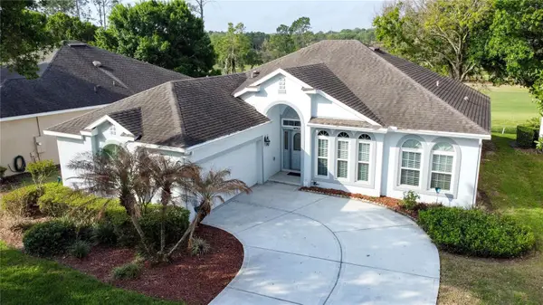 3828 Avon Court, CLERMONT, FL 34711