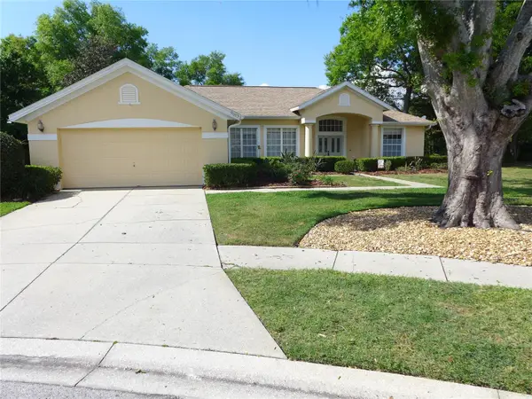 9003 Oakcrest Circle, MOUNT DORA, FL 32757