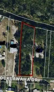 Ocklawaha Drive, Leesburg, FL 34788 - #3