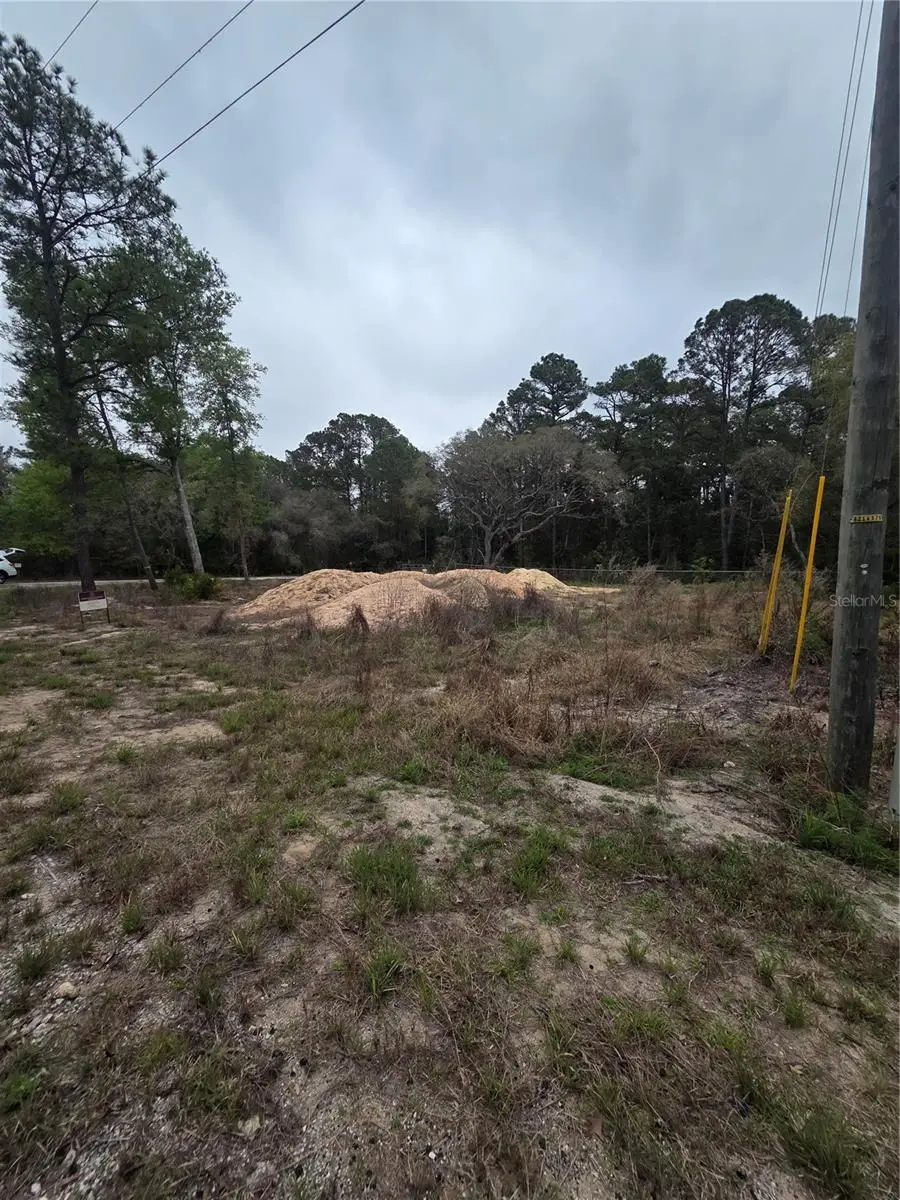 127 Sequoia Trail, Ocklawaha, FL 32179 - #2