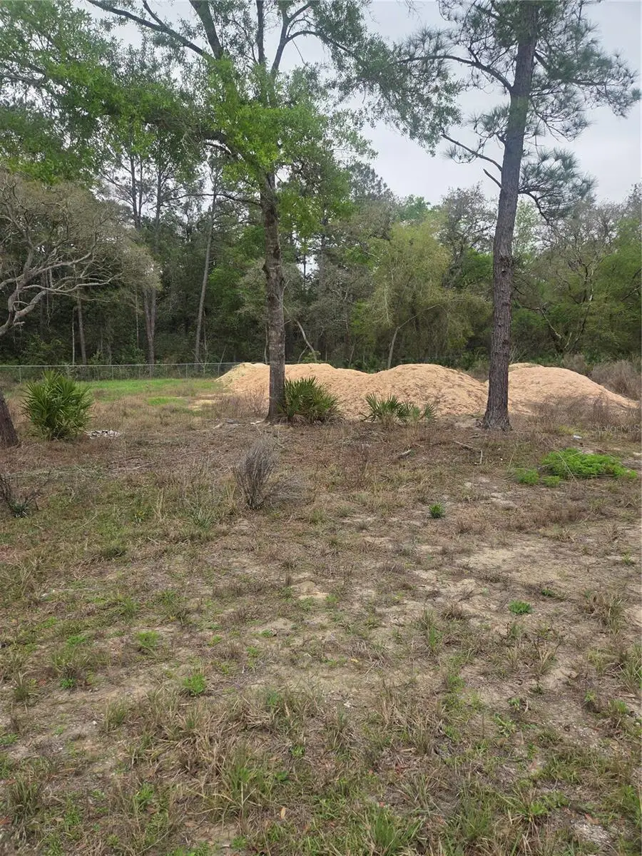 127 Sequoia Trail, Ocklawaha, FL 32179 - #3