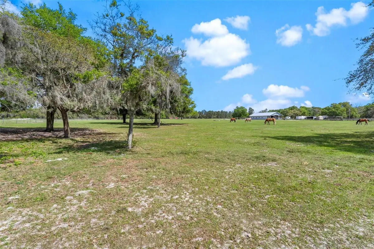 Winterwillow Lane, Eustis, FL 32736 - #1