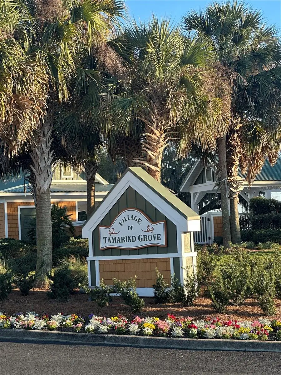 2427 Tamarind Grove Run, The Villages, FL 32162 - #3