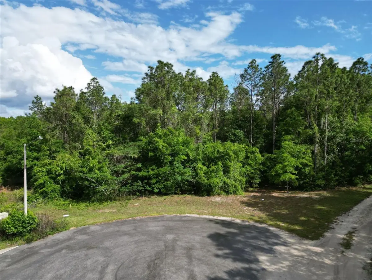 0000 SE 119 Street, Belleview, FL 34420 - #1