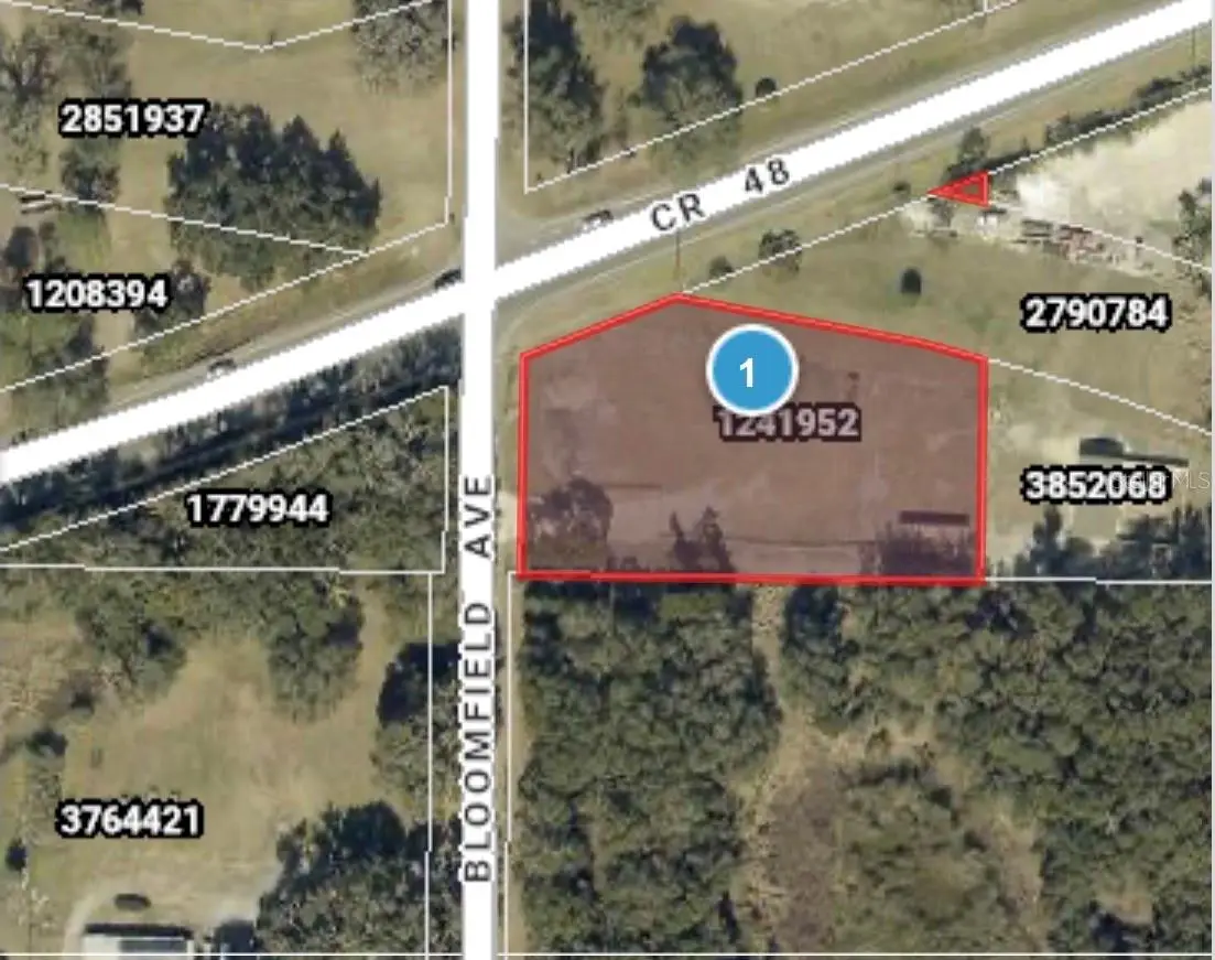 County Road 48, Yalaha, FL 34797 - #1