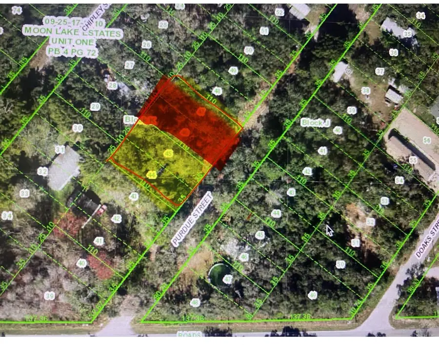Purdue Street, New Port Richey, FL 34654 - #2
