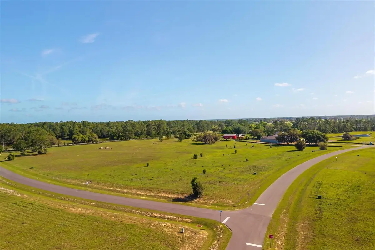 38529 Wooded Meadow Drive, Umatilla, FL 32784 - #1