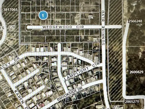 Lot 261 Brookside Cir, MOUNT DORA, FL 32757