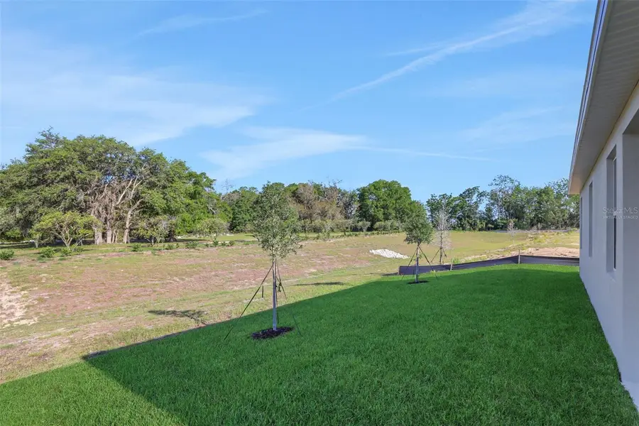 2920 Supermarine Road, Tavares, FL 32778 - #3