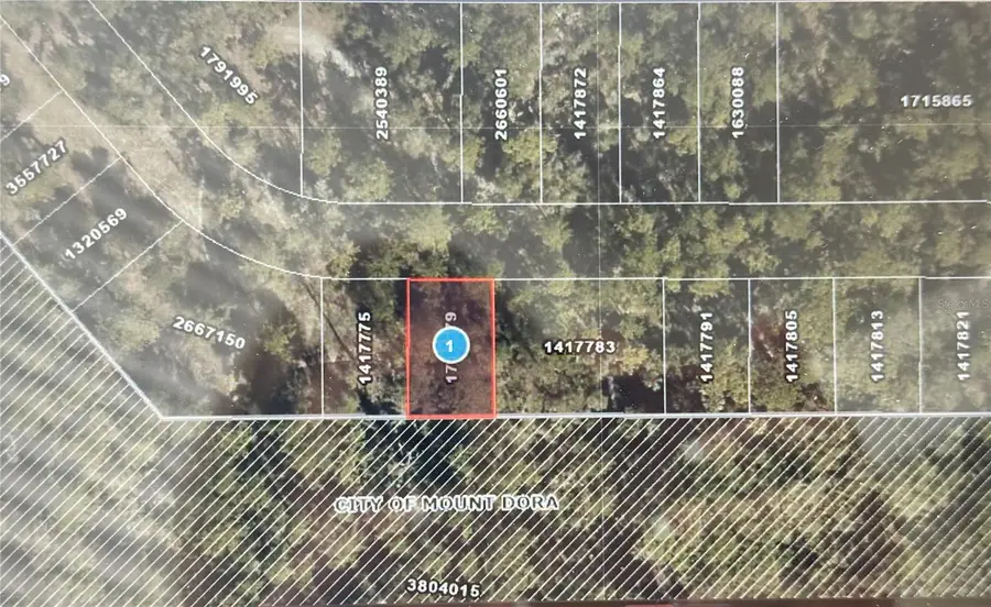 Lot 34 Wolf Branch Rd, Mount Dora, FL 32757 - #2