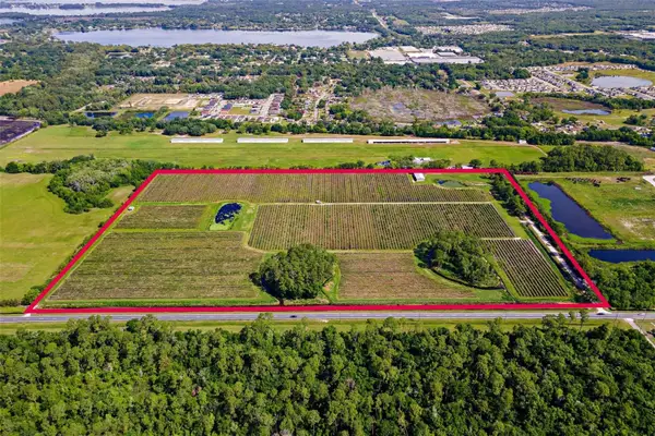 7453 Jones Avenue, MOUNT DORA, FL 32757