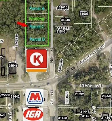 31577 Niles Street, Mount Plymouth, FL 32776 - #1