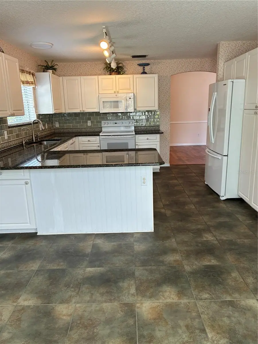 545 Carrera Drive, Lady Lake, FL 32159 - #3