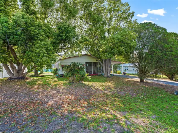 12655 SE 101st Court, BELLEVIEW, FL 34420