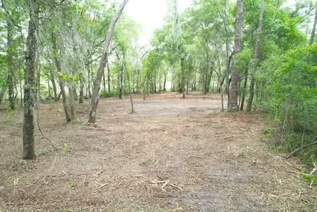 Locust Run Course, Ocala, FL 34472 - #2