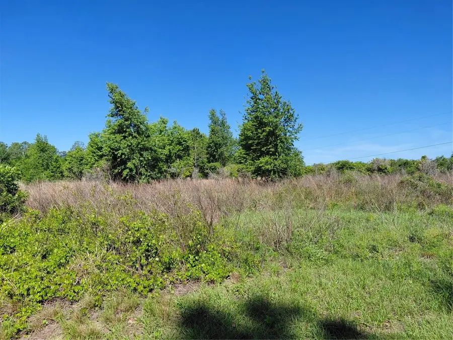 Coffee Creek Lane, Clermont, FL 34711 - #2