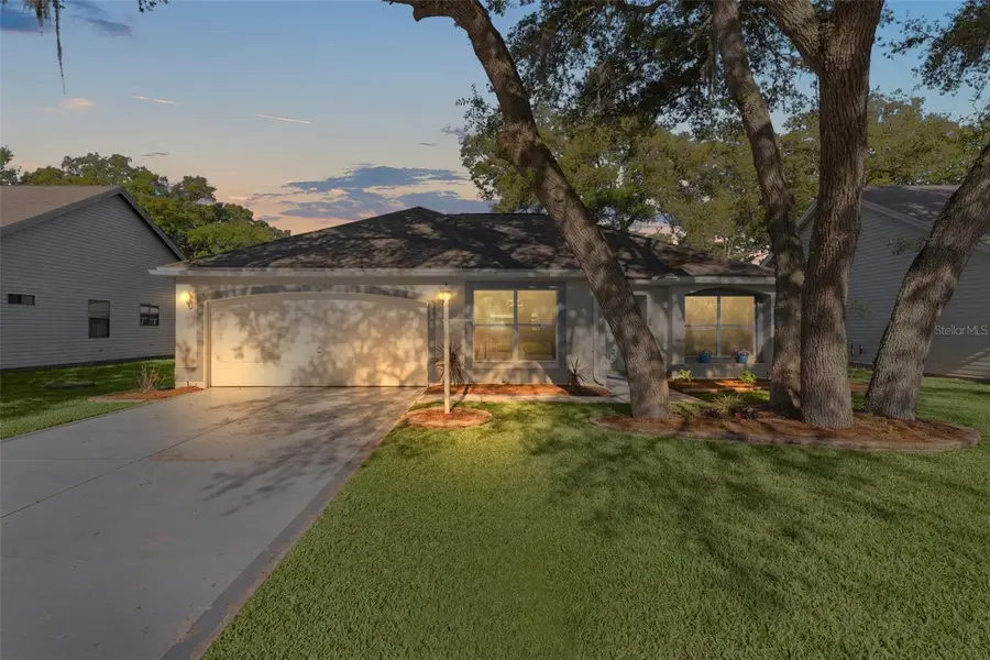 206 Desota Court, The Villages, FL 32159 - #2