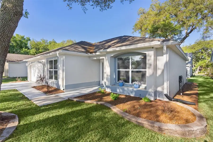 206 Desota Court, The Villages, FL 32159 - #3