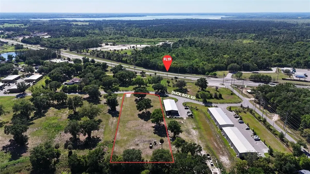 980 Duck Box Road, Umatilla, FL 32784 - #1