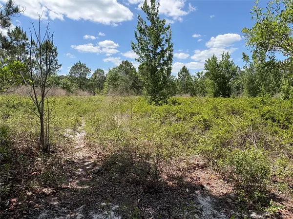 San Juan Ave #LOT 29, POLK CITY, FL 33868