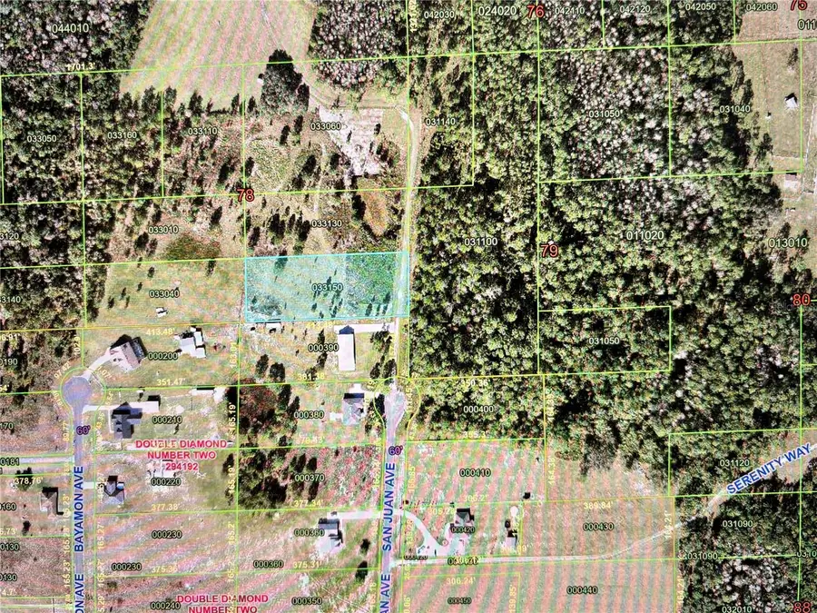 San Juan Ave #LOT 29, Polk City, FL 33868 - #2