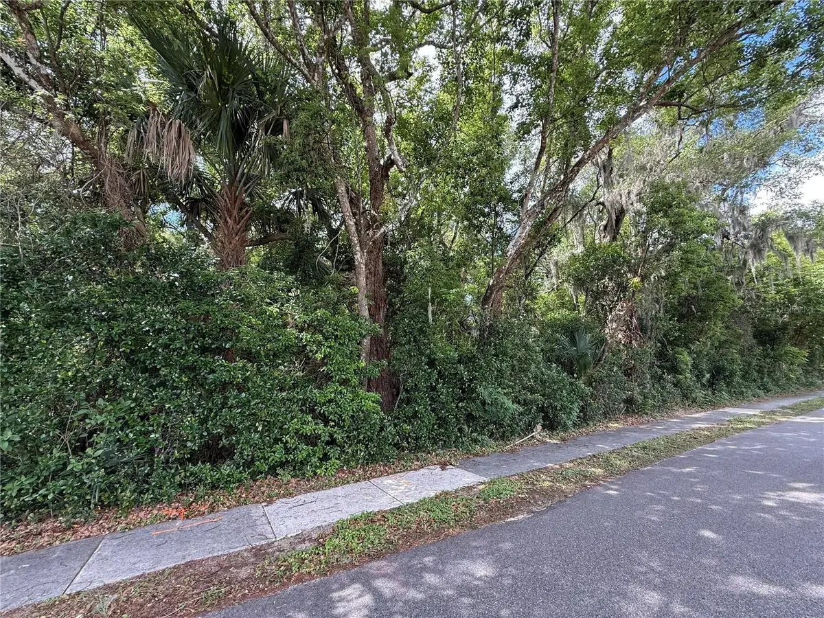 TBD King Avenue, Zellwood, FL 32798 - #1