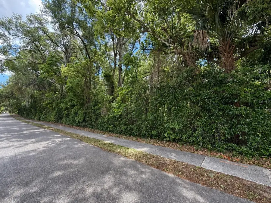 TBD King Avenue, Zellwood, FL 32798 - #2