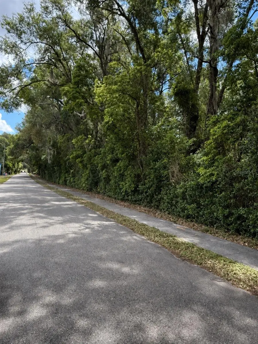 TBD King Avenue, Zellwood, FL 32798 - #3